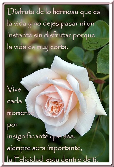 ***Feliz Martes con un abrazo de corazón*** ***Feliz Martes con un abrazo de corazón***
