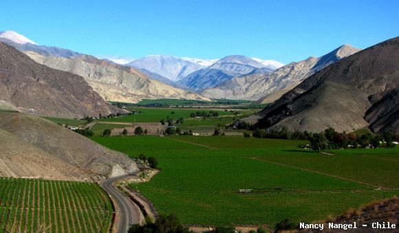 chile chile