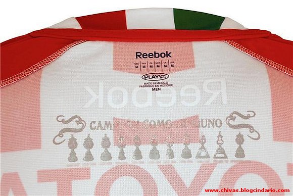 Jersey 2010