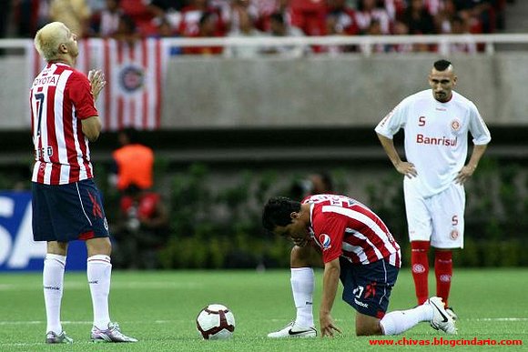 Bofo Bravo