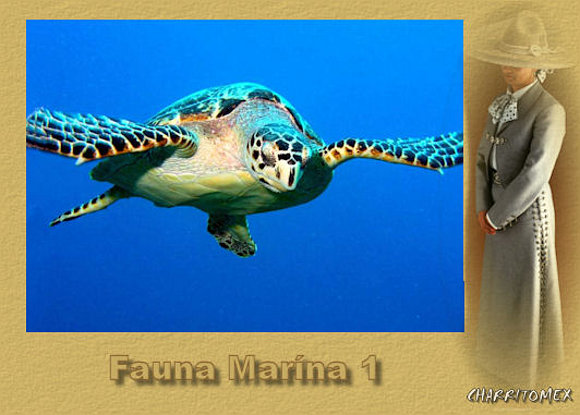 Un Vistazo a M�xico 5